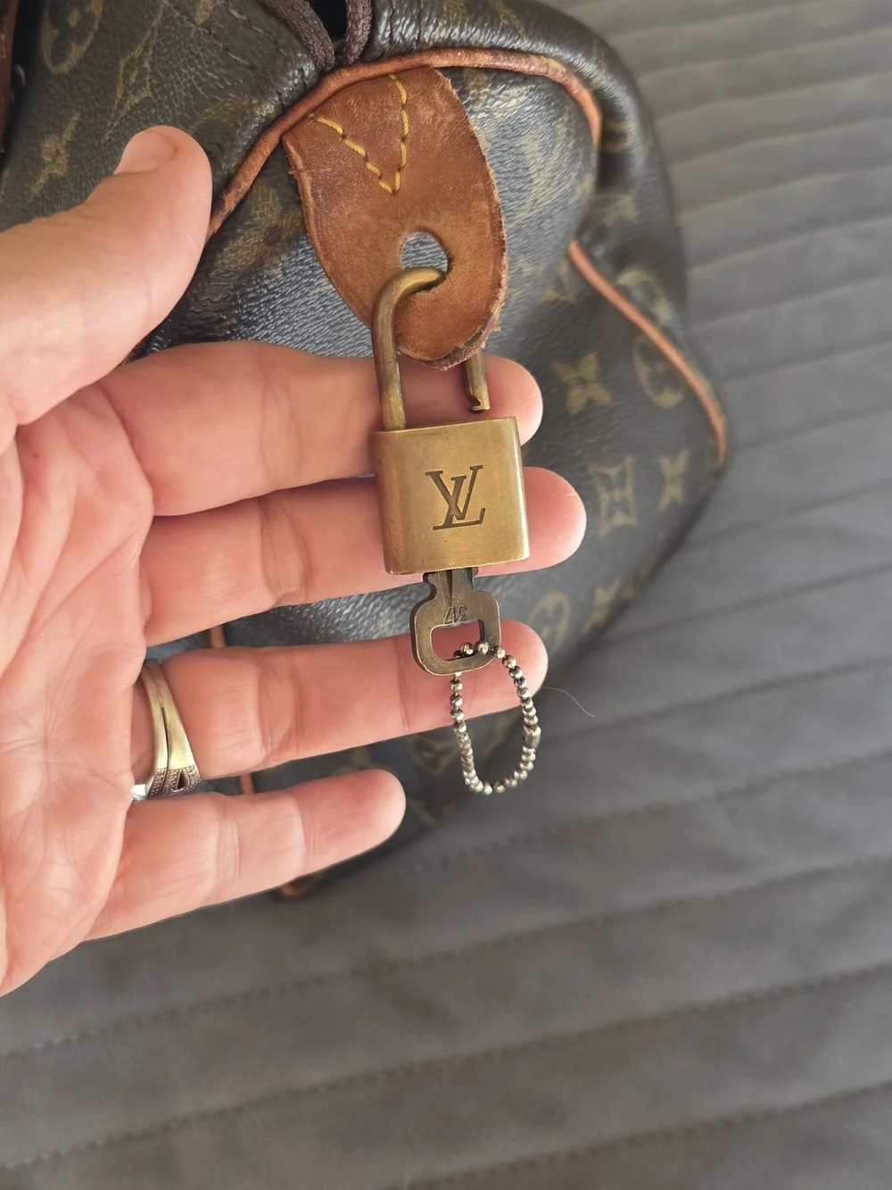 Louis Vuitton iconic louis